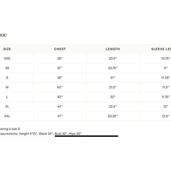 TUCKERNUCK White Eyelet Fontalina Blouse NWT Size Large - Picture 8 of 11